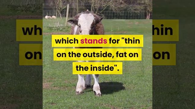 How to lose weight effectively? by reducing sugar intake смотреть онлайн