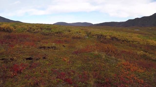 Движение по пересечённой местности и ворге в среднем течении р. Бол. Кара. смотреть онлайн