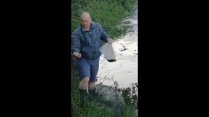 Как мы рыбу ловили на вершу морду