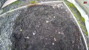 КАК "НАКОПАТЬ" ЧЕРВЕЙ БЕЗ ЛОПАТЫ, быстро, просто, удобно