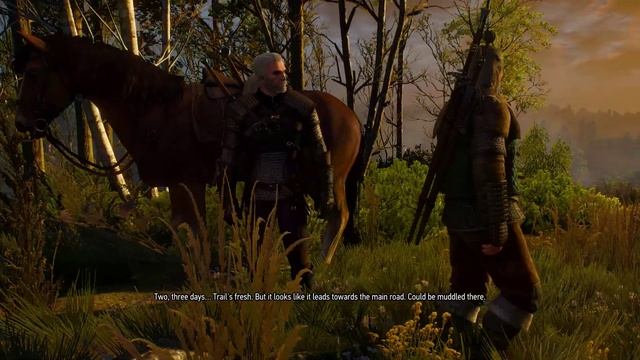 The Witcher 3 Wild Hunt Playthrough Episode 1. смотреть онлайн