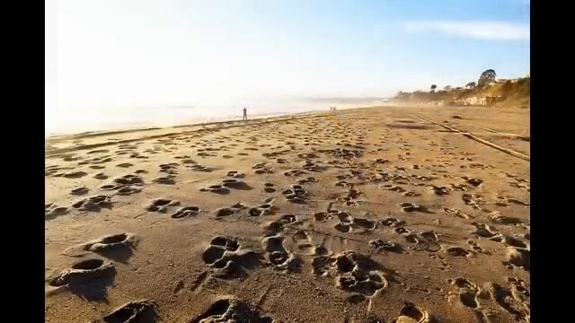 Значение имени Никита смотреть онлайн