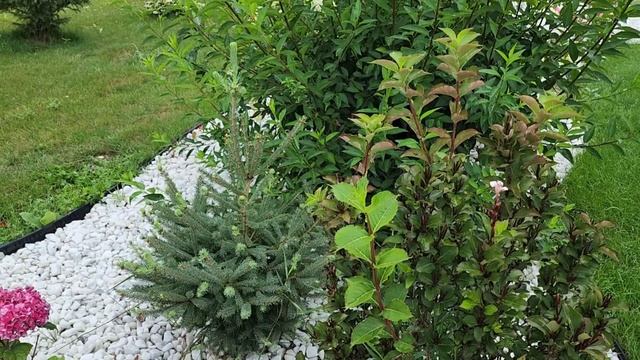 МОЯ КЛУМБА / МИРОСЛАВА ПЕЧЁТ ПЕЧЕНЬЕ/ США смотреть онлайн