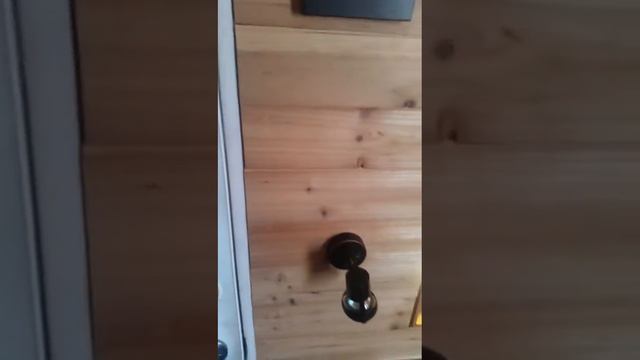 Tiny Cabin :: Quick Update, Really! смотреть онлайн