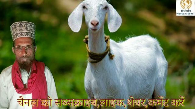 शेर बकरी को लेकर गया शान से,लोग समझे कि बकरी गई जान से,नया कलाम,Abdul Qayyum Noori