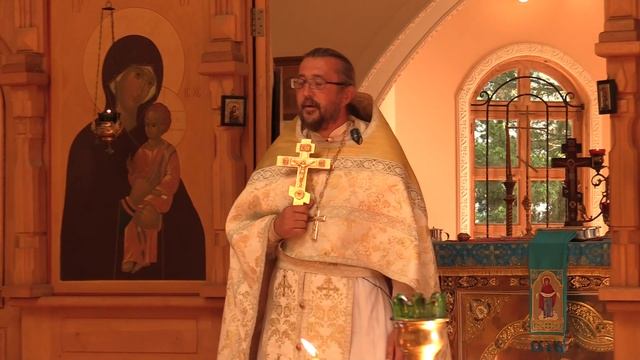 Почему Господь назвал страдающую женщину собакой? Священник Игорь Сильченков смотреть онлайн