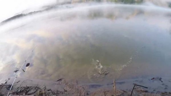 Рыбалка с комплектом ЛОДКИ ФРЕГАТ 330 AIR и мотором FREGAT T9.8BMS