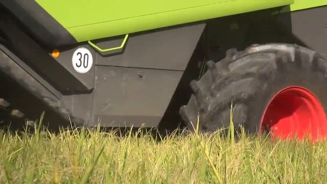 Raccolta Riso 2014. Claas Lexion 760 Poluzzi Evo Axle Reynolds Shelbourne RVS22 смотреть онлайн