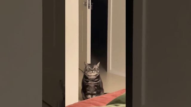 Улыбочка смотреть онлайн