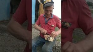 головень распаковка