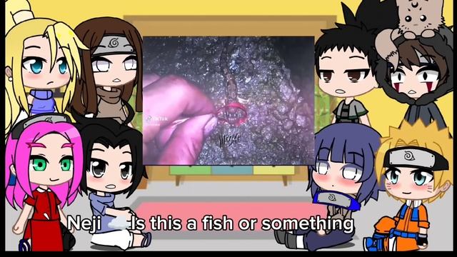 ?NARUTO FRIENDS REACT TO NARUTO UZUMAKI AND HOKAGES // GACHA LIFE // NARUTO SERIES; смотреть онлайн