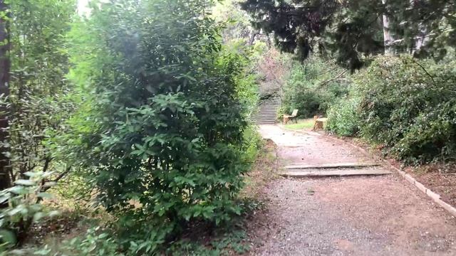 Прогулка по Мисхорскому Парку. 20.11.2023 Крым. ЮБК. Мисхор. смотреть онлайн