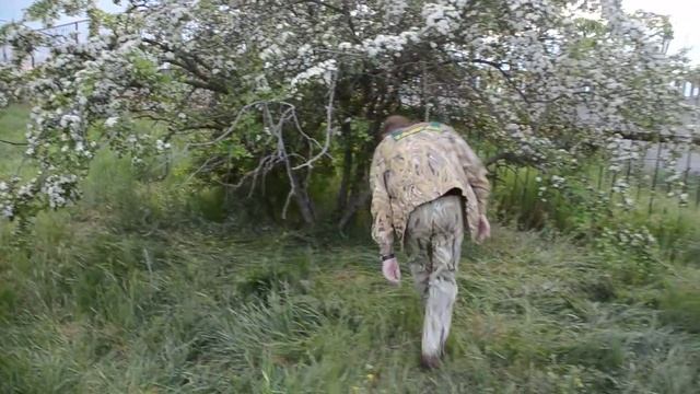 Сафари в Крыму смотреть онлайн