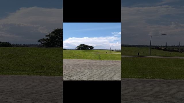 Сказочная красота "Мир"