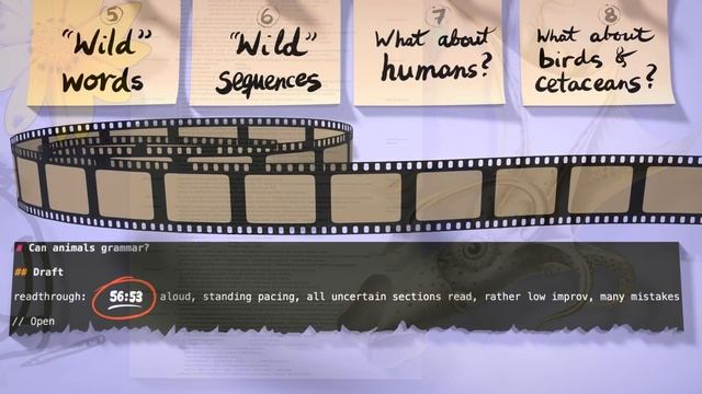 Can animals grammar? – introduction to my animated series смотреть онлайн
