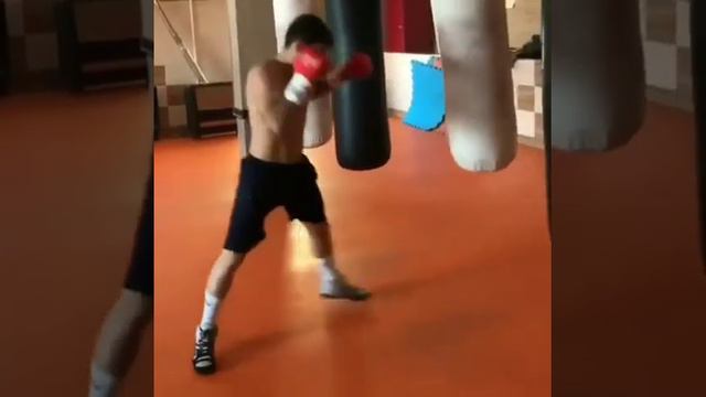 Персидский Дагестанец Хейбати найдите этому льву соперника!🦁 смотреть онлайн