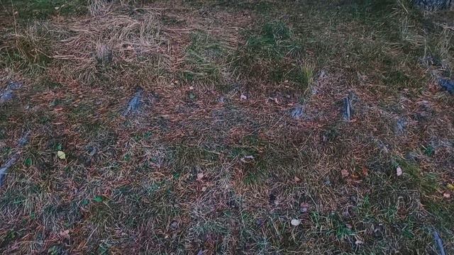 Осенняя зарисовка. Исполнение на варгане Стандартный 2 мастера Вахитова. смотреть онлайн