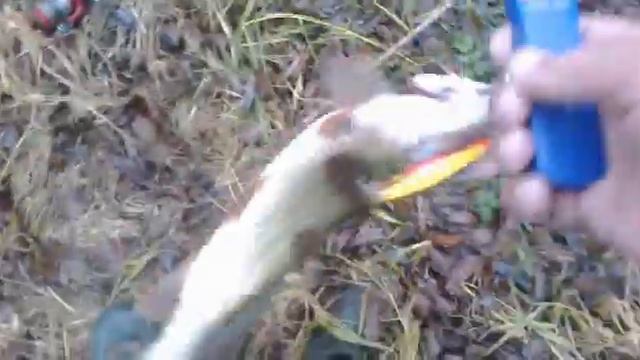 15 11 2018 Стир 2кг смотреть онлайн