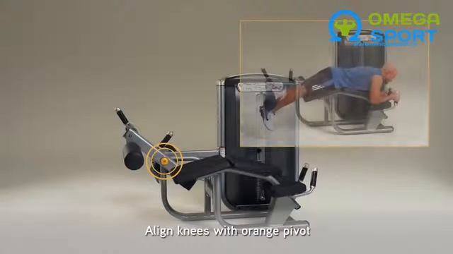 Сгибание ног лежа Matrix G7 S73 смотреть онлайн