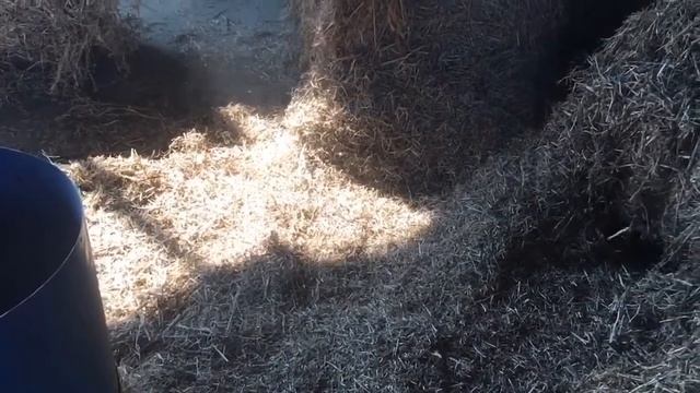 Бизнес с нуля. Солома всему голова. Компост для шампиньонов во Владивостоке. смотреть онлайн