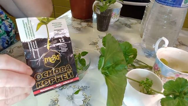 Про черенки цветов! средство вместо Корневина!🪴🌻🌺 смотреть онлайн