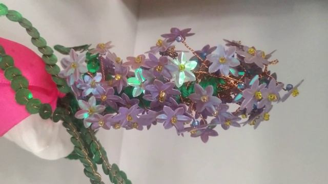 типы растений смотреть онлайн