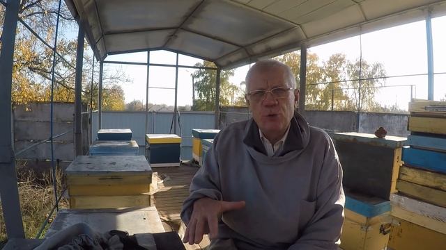 Содержание пчел 300+145 Почему не кормим пчел и собираем гнезда в октябре смотреть онлайн