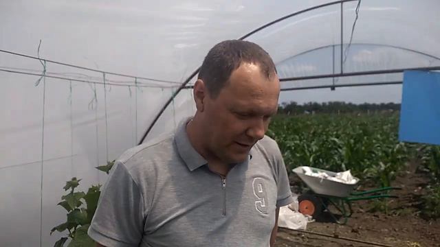 Rijder Seeds новое имя на нашем рынке семян смотреть онлайн