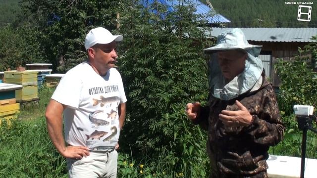 СРАВНЕНИЕ ПОРОД ПЧЕЛ БАКФАСТ, КАРНИКА И СРЕДНЕРУССКАЯ. БЕСЕДА НА ПАСЕКЕ ВЛАДИМИРА РЯБУХИНА НА УРАЛЕ смотреть онлайн