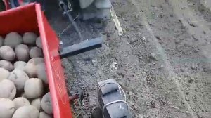 Испытываю однорядную картофеле сажалку