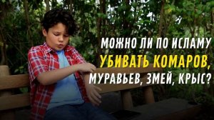 Можно ли по Исламу убивать комаров, муравьев, змей, крыс?