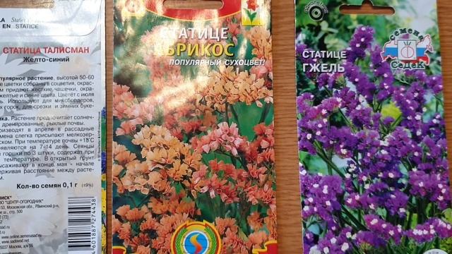 Лучшие сухоцветы. Статица (кермек), гелихризум. смотреть онлайн