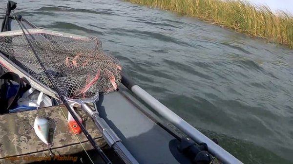 Электромотор для лодки - выбор и опыт 3-х летней эксплуатации