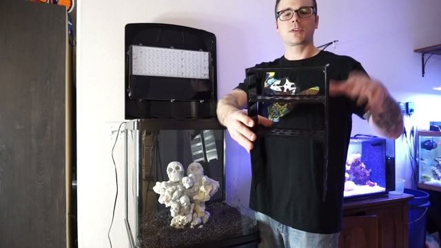 *BIOCUBE 32G SET UP* AKA DEATH CUBE - Where Do I Start? смотреть онлайн