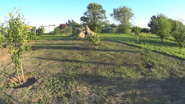 В огороде много дел / Работаем в огороде / смотреть онлайн