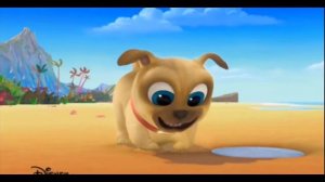 дружные мопсы