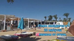 Обзор отеля Oriental Rivoli 4*. Египет. Шарм эль Шейх.