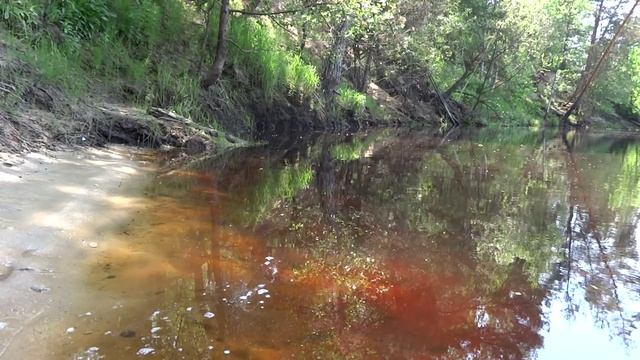Река Нерская #2. Самая красивая река Подмосковья смотреть онлайн