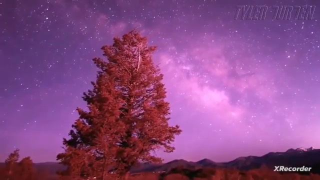 плоская земля смотреть онлайн