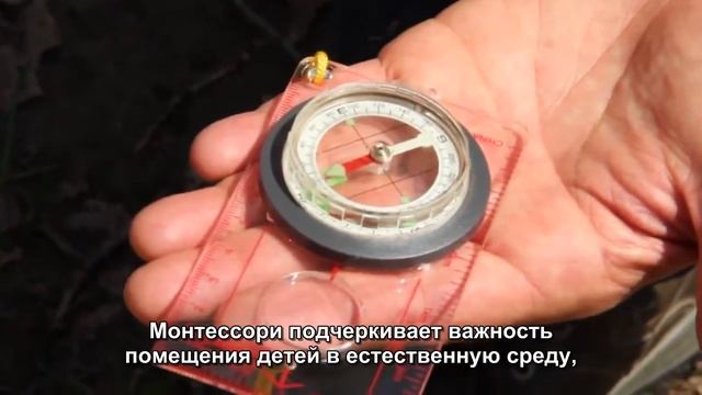Средняя школа Монтессори смотреть онлайн