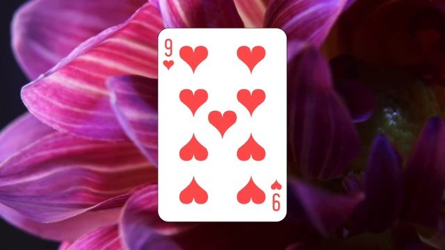 30 августа: Поздравляю, Вы Девятка Червей! смотреть онлайн