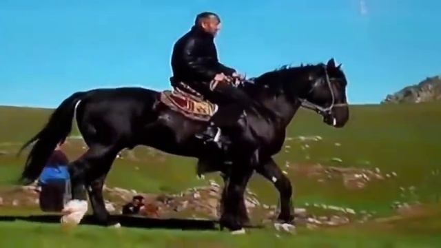 Лошади в Таджикистане смотреть онлайн