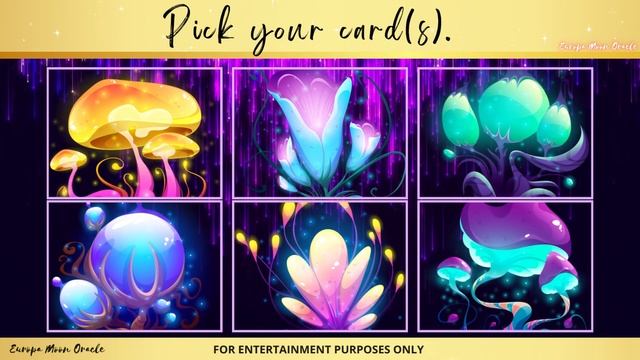 ?Quicker Than Tarot Yes or No Pick-A-Card?Instant Answers!?|#yesornopickacard Ask the Oracle #295 смотреть онлайн