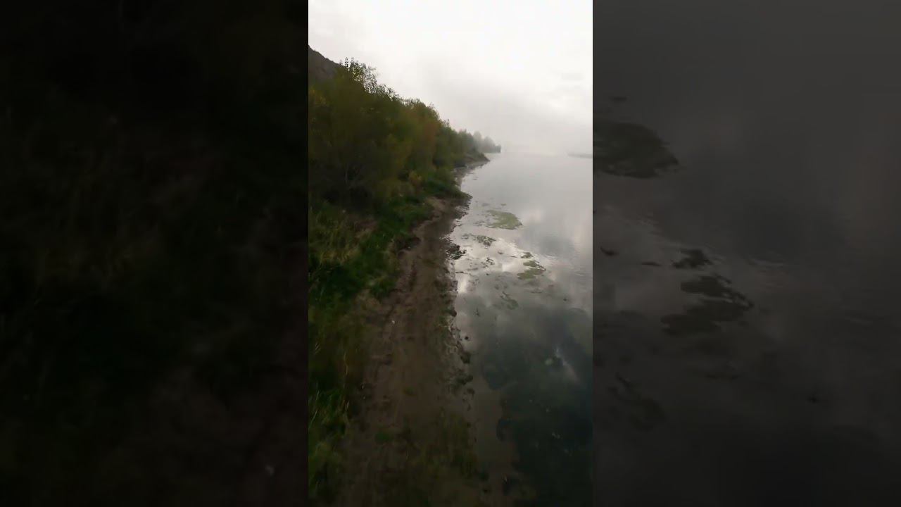 DJI AVATA как летать в туман #shorts смотреть онлайн