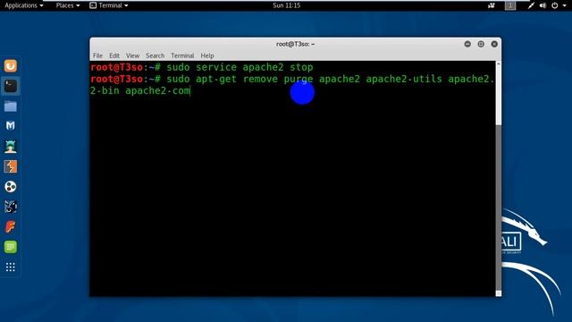 How to uninstall and remove Apache2 on Ubuntu or Kali Linux смотреть онлайн