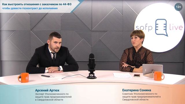 Прямой эфир: «Как выстроить отношения с заказчиком по 44ФЗ, чтобы довести госконтракт до исполнения смотреть онлайн