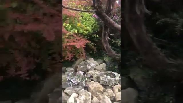 Так вот где водится золотая рыбка!! смотреть онлайн