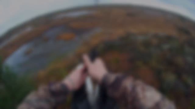 #ОХОТА НА ГУСЯ#ОСЕНЬ 2021#ДЕНЬ ВТОРОЙ##GOOSE HUNTING #AUTUMN #2021# DAY TWO# смотреть онлайн