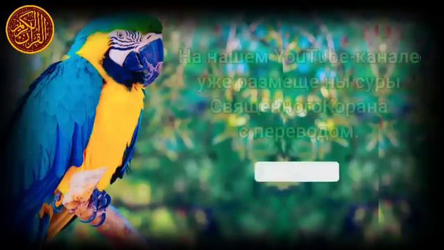 утренний дуа. дуа каждое утро