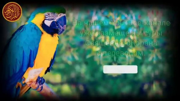 утренний дуа. дуа каждое утро